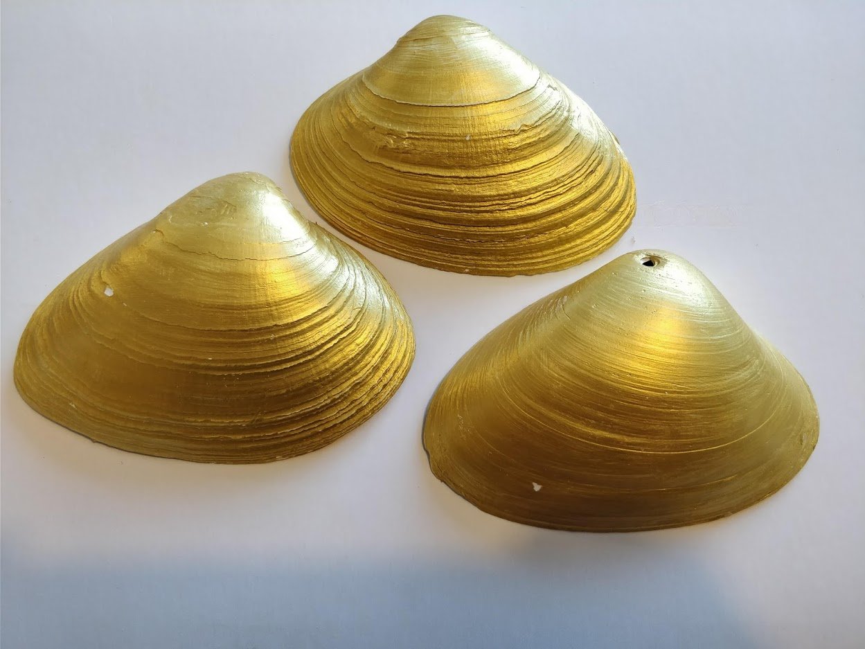shell diy seashell candle craft easy(1)