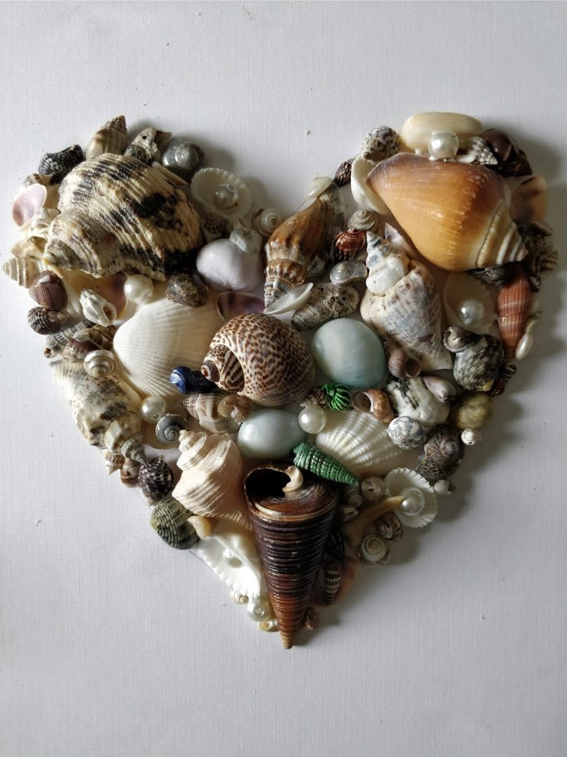 Seashell Wall Decor Seashell Wall Art Beach Decor Shell Wall