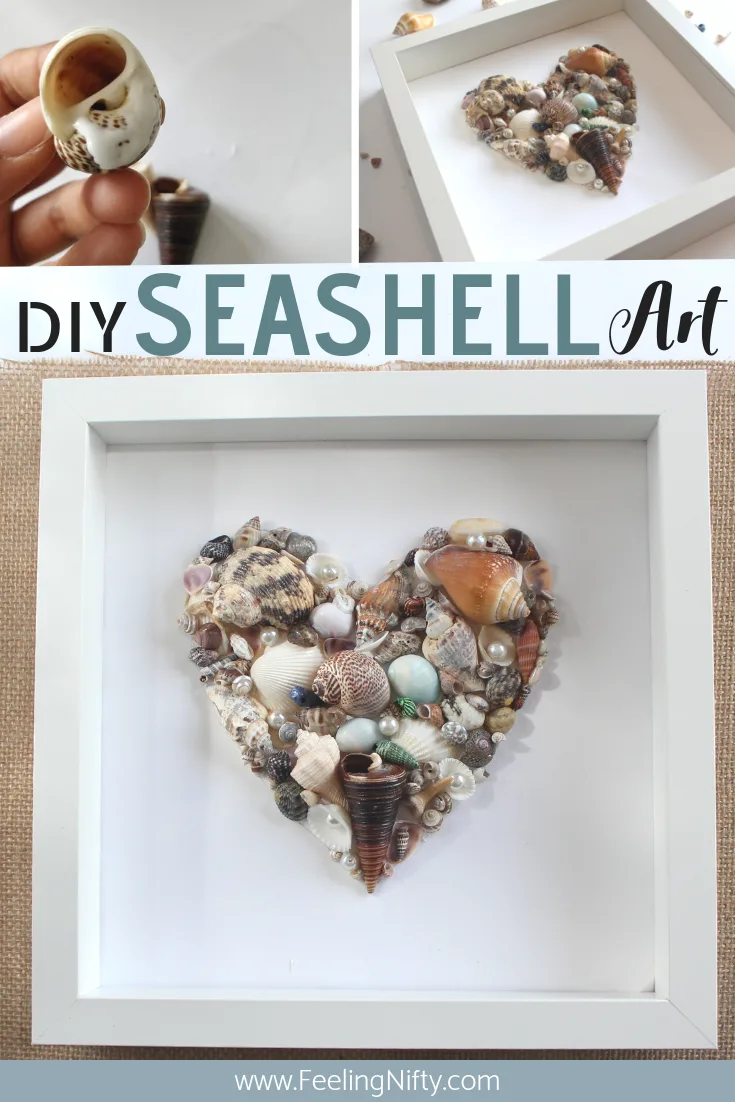 seashell art diy easy