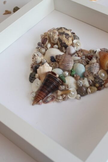 seashell artwork diy