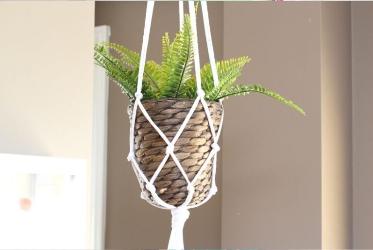 5 Minute Macrame Plant Hanger DIY Tutorial