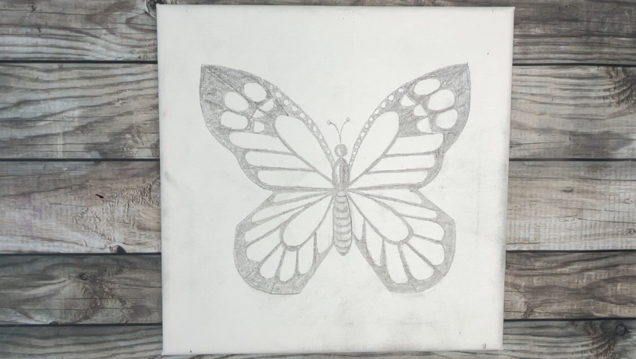How to Draw a Butterfly EasyPeasy & Fast ! {for kids, teens and adults}