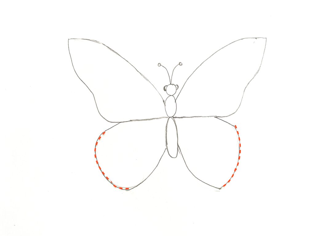 Butterfly Drawing Tutorial - How to draw a Butterfly step by step-saigonsouth.com.vn