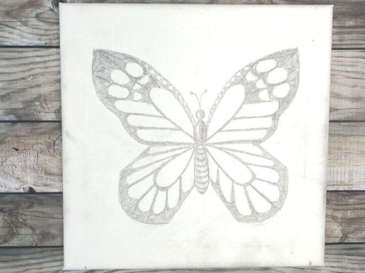 how to draw a butterfly easy