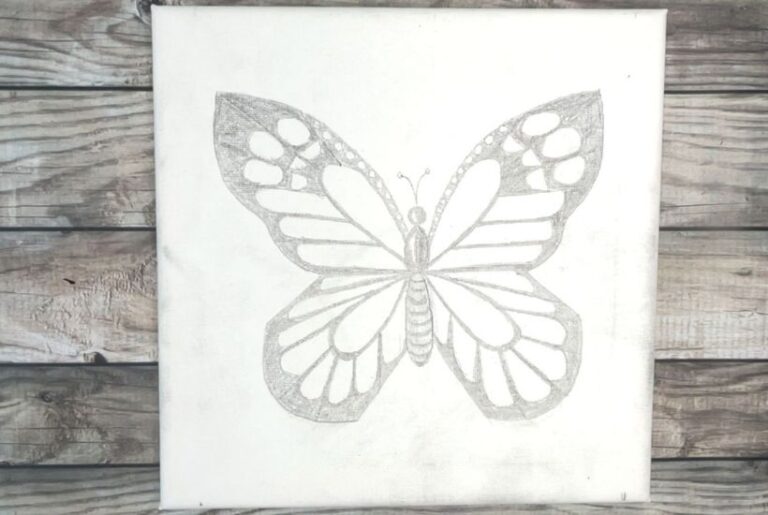 how to draw a butterfly easy