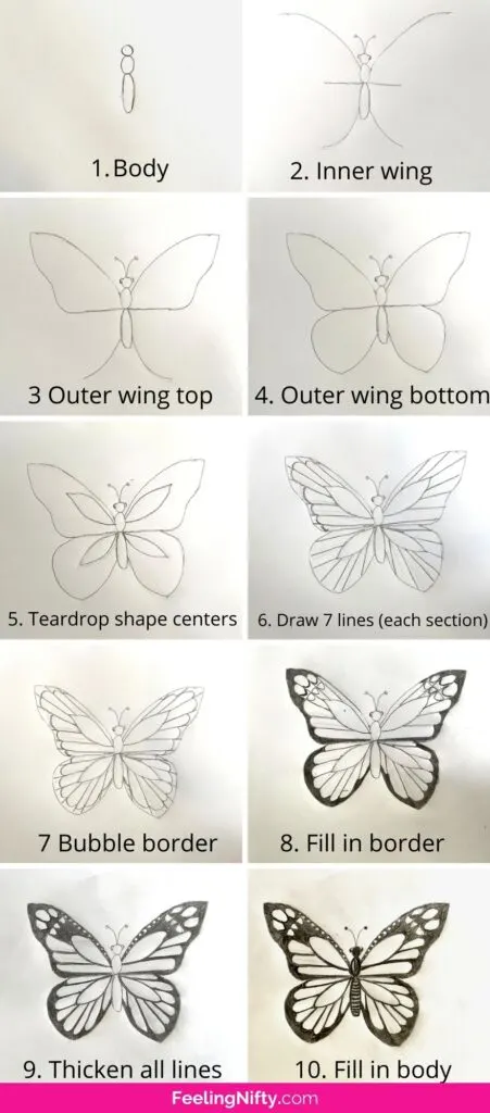 Butterfly Drawing PNG Transparent Images Free Download | Vector Files |  Pngtree