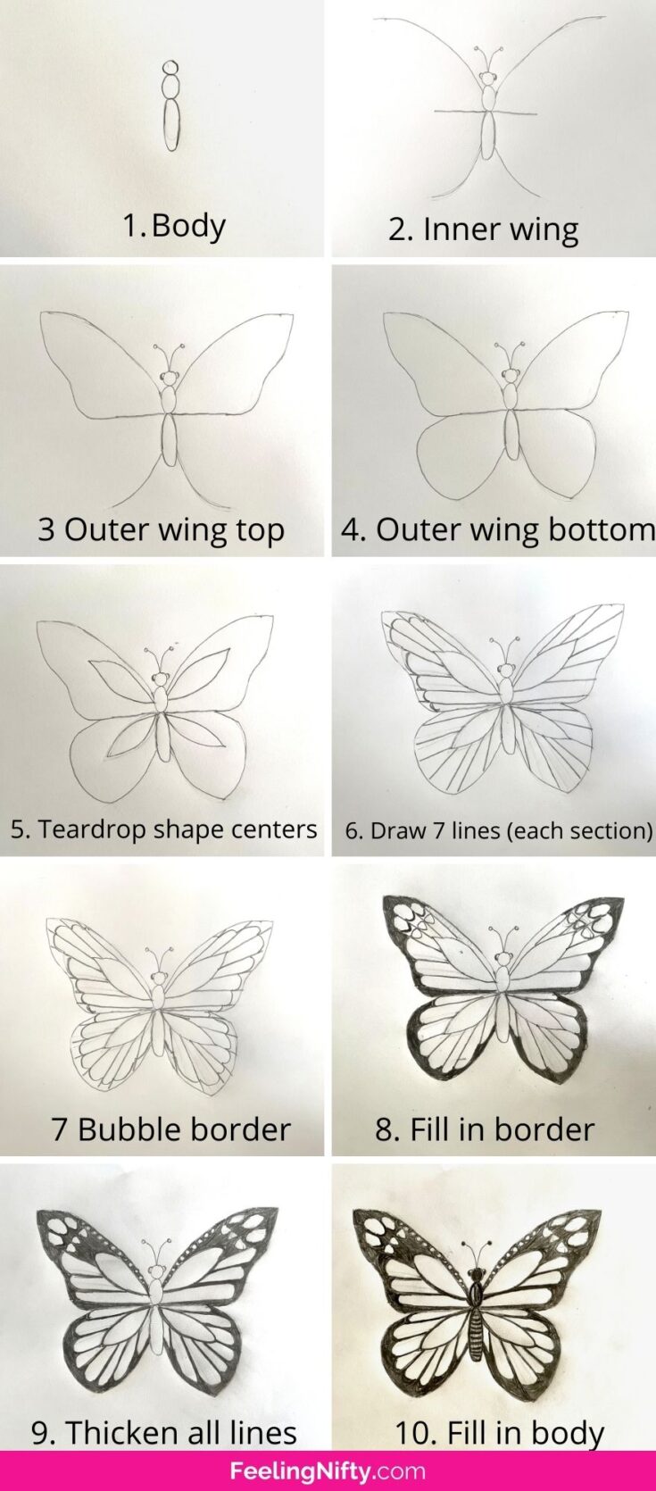 Step By Step Butterfly Drawing Perez Faber1942