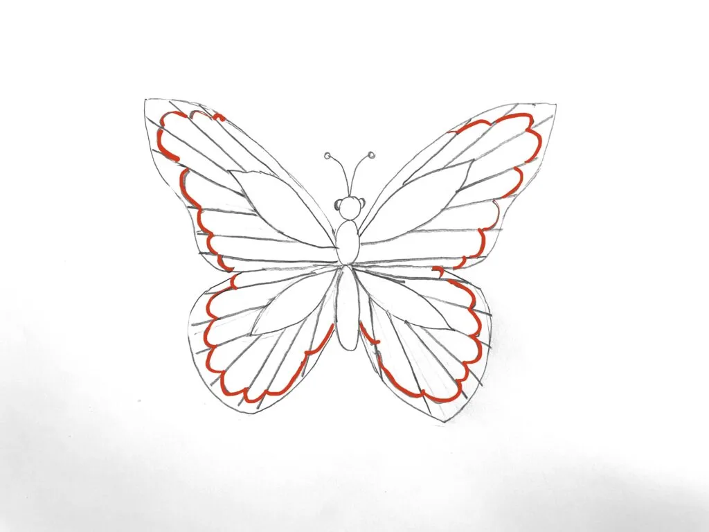 easy pencil drawings of butterflies