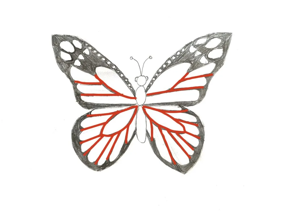 simple butterfly designs to draw