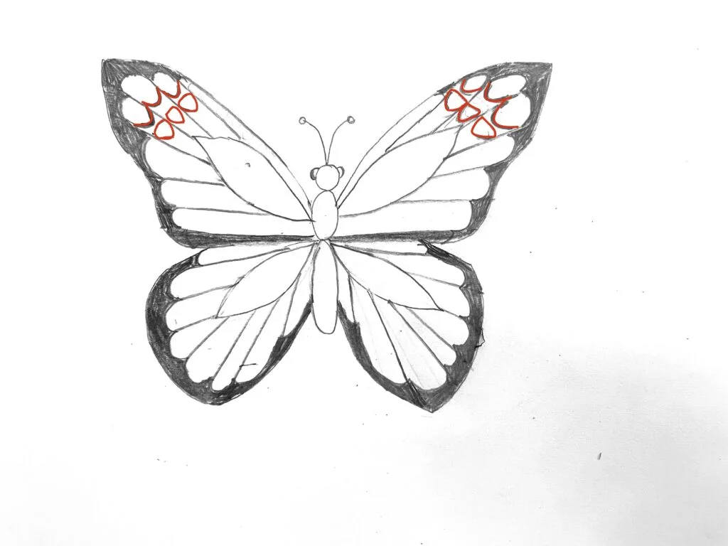 Master Butterfly Drawings in 5 Simple Steps - Full Bloom Club