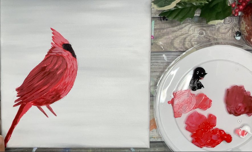 how to paint a cardinal highlight feathers