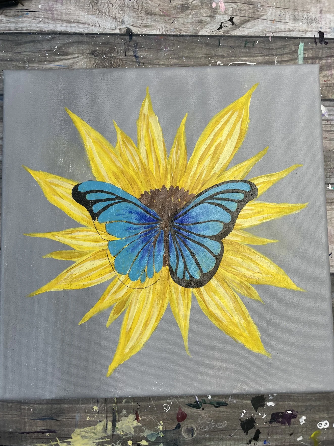 how to paint blue morpho butterfly