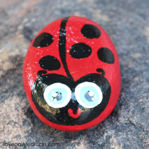 141 Inspiring Rock Painting Ideas - Get Started Now!