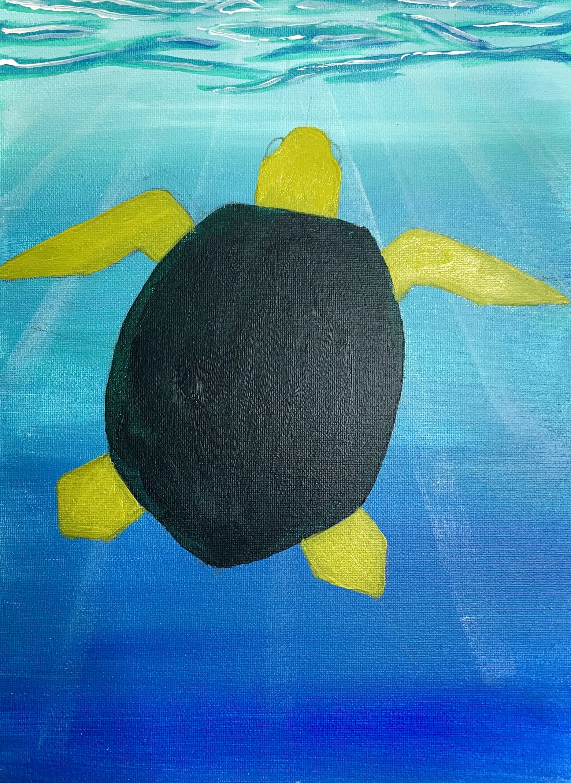 How to paint sea turtle head and flippers