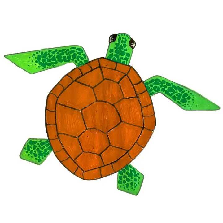 how to draw a sea turtle color skin pattern