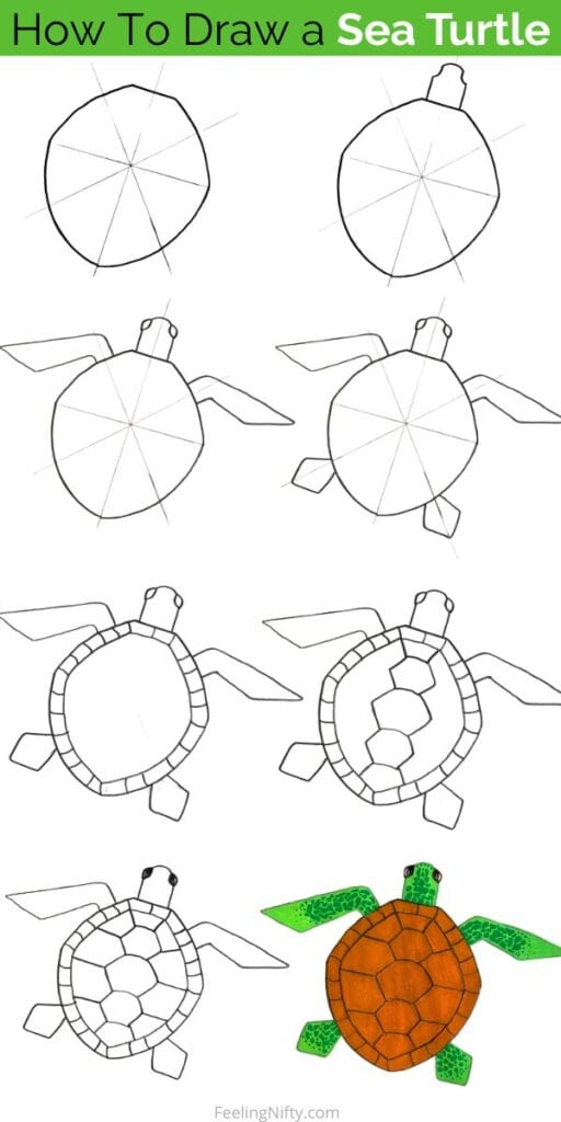 Sea Turtle Drawing Tutorial Sea Turtle Drawing Tutorial