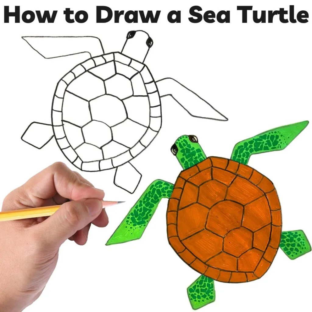 How To Draw A Cute Sea Turtle Step By Step