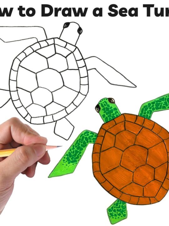 https://feelingnifty.com/wp-content/uploads/2023/06/how-to-draw-sea-turtle-540x720.jpg