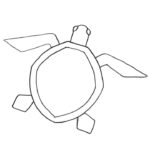 How to Draw a Sea Turtle : Easy Step-By-Step Tutorial