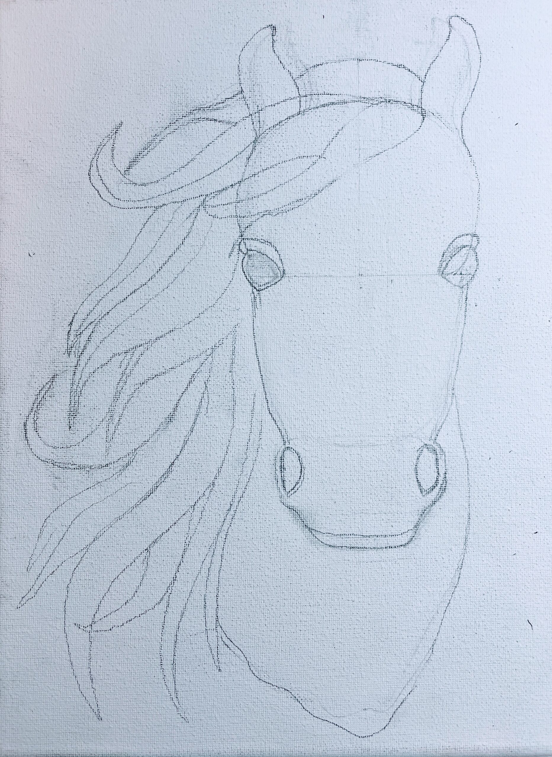 Horse-head-drawing-outline
