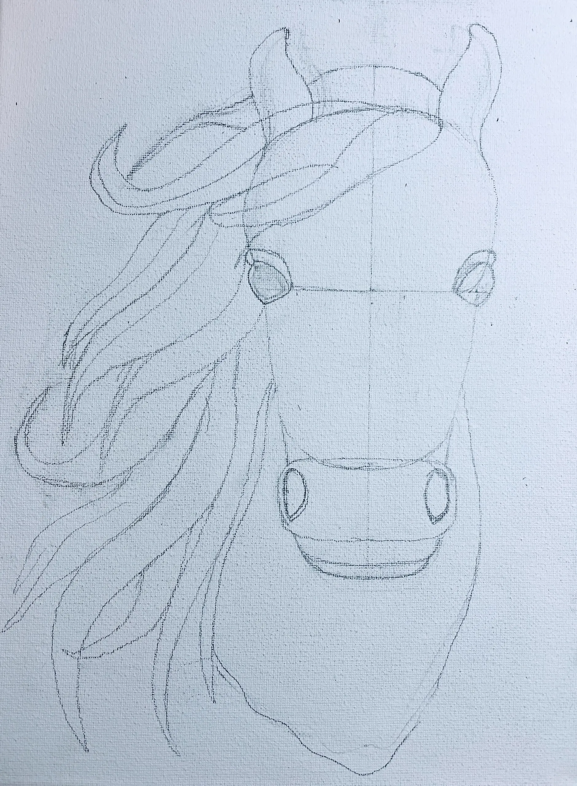 How to draw a horse head for adults