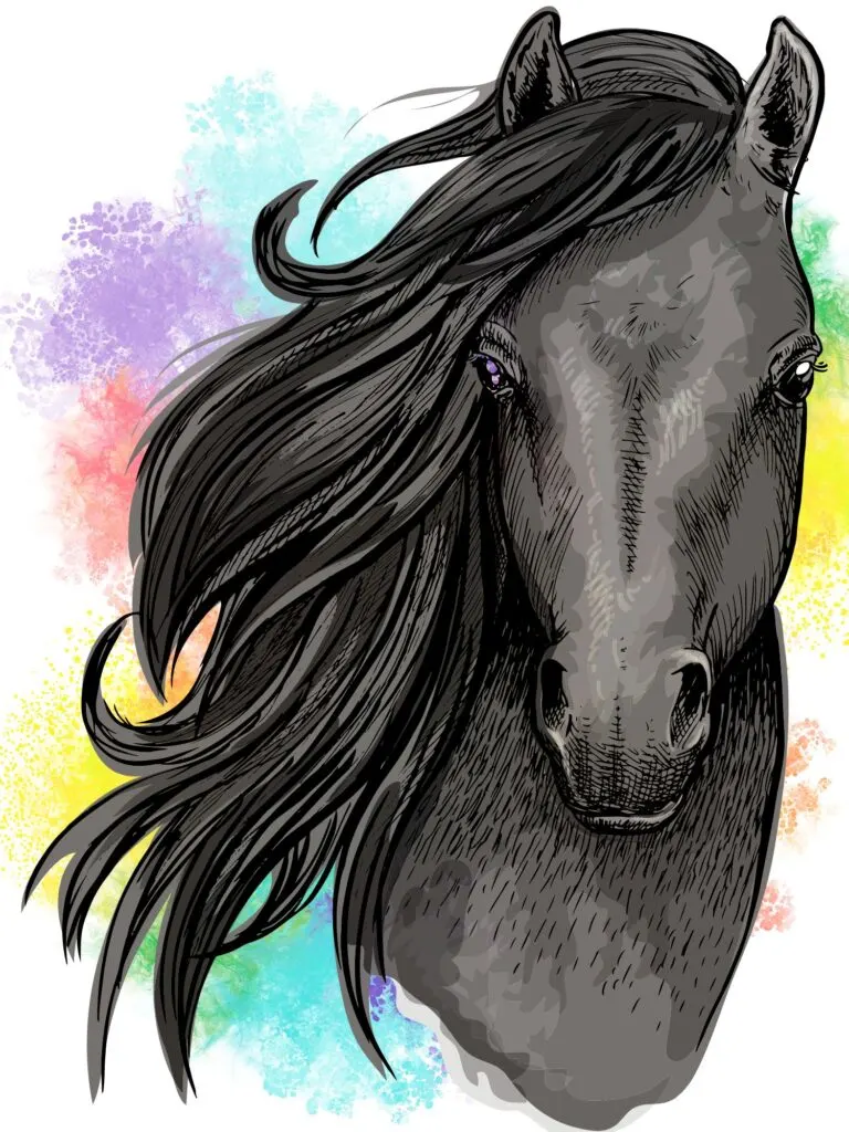 friesian horse head drawings