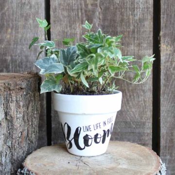 50+ Easy Flower Pot Painting Ideas - Best Ideas for 2024