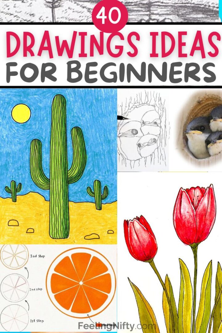 40 Incredible Drawing Ideas For Beginners Feeling Nifty 40 Incredible Drawing Ideas For Beginners Feeling Nifty
